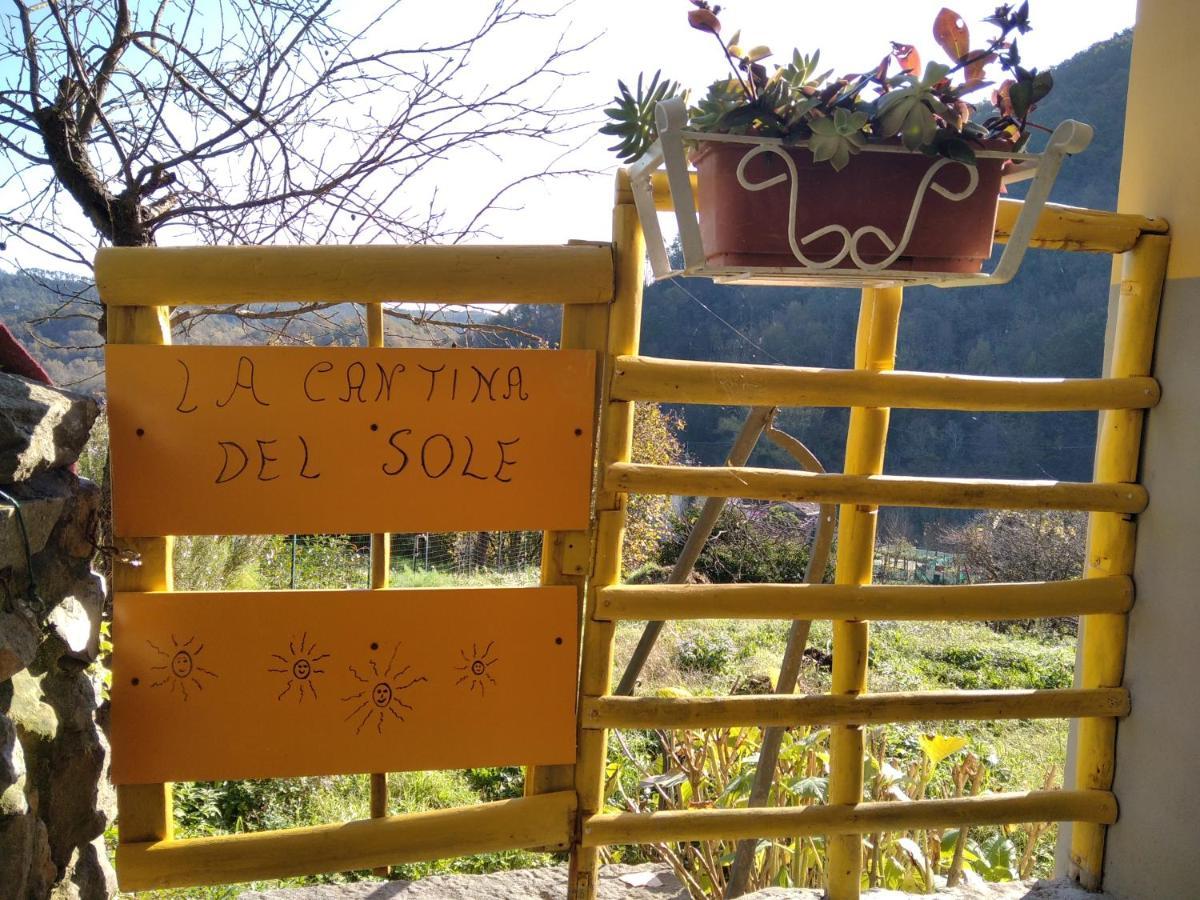 La Cantina Del Sole Riccο del Golfo di Spezia Εξωτερικό φωτογραφία