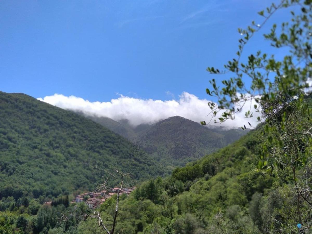 La Cantina Del Sole Riccο del Golfo di Spezia Εξωτερικό φωτογραφία