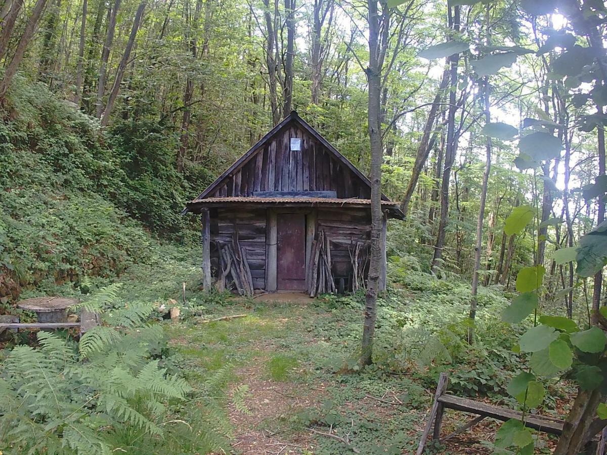 La Cantina Del Sole Riccο del Golfo di Spezia Εξωτερικό φωτογραφία